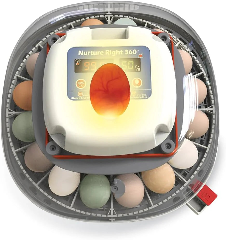 Egg Incubator for Hatching Chicks, Holds 12-22 Eggs, Automatic Turner with Temperature and Humidity Control, 360 Degree View with Clear Window, Incubator for Chickens1 pcs