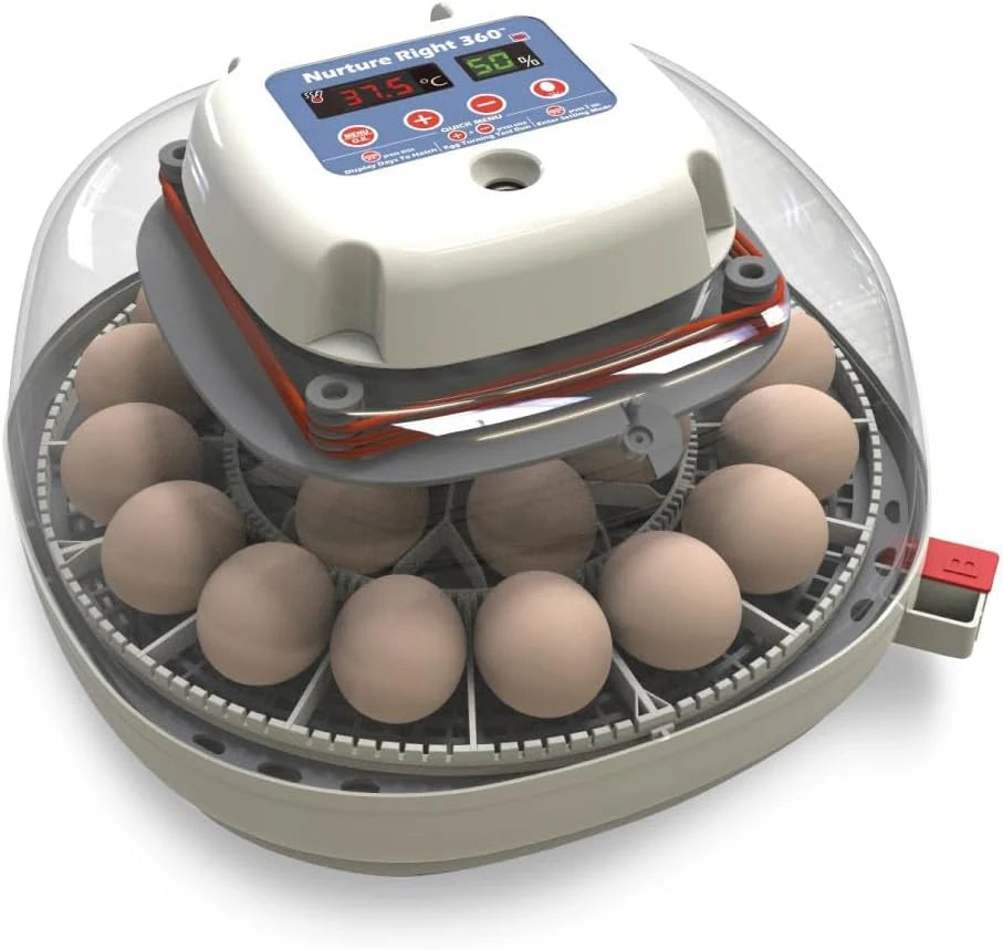 Egg Incubator for Hatching Chicks, Holds 12-22 Eggs, Automatic Turner with Temperature and Humidity Control, 360 Degree View with Clear Window, Incubator for Chickens1 pcs
