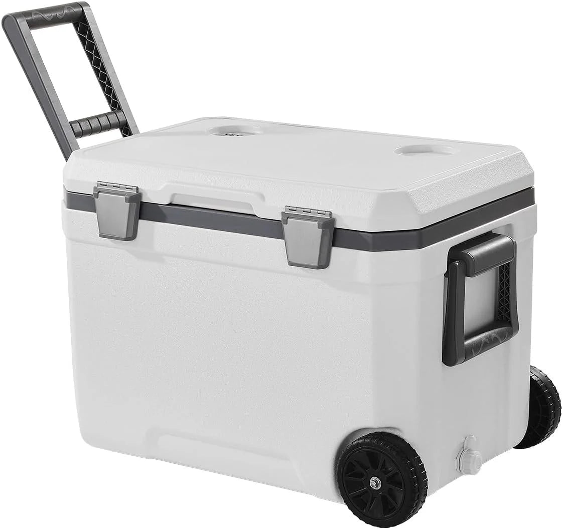 immersion cooler1 pcs