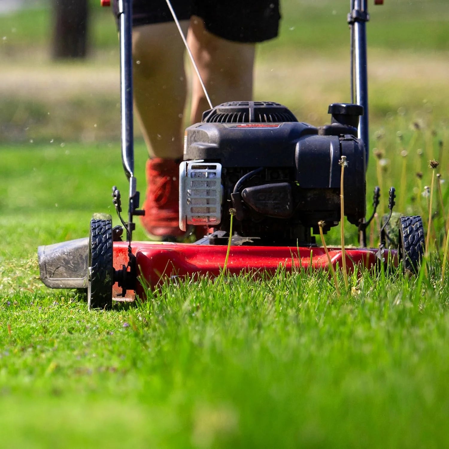 20-inch steel cutting deck, side-discharge gasoline-powered push lawn mower, with engine oil, available in red and black, suitable for outdoor yards.1 pcs