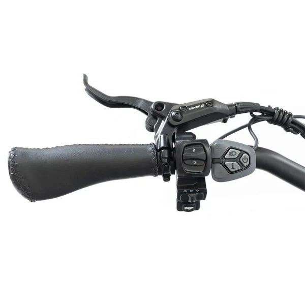 20 48V/14AH 750W Foldable Fat Tire Electric Trike, 330LBS